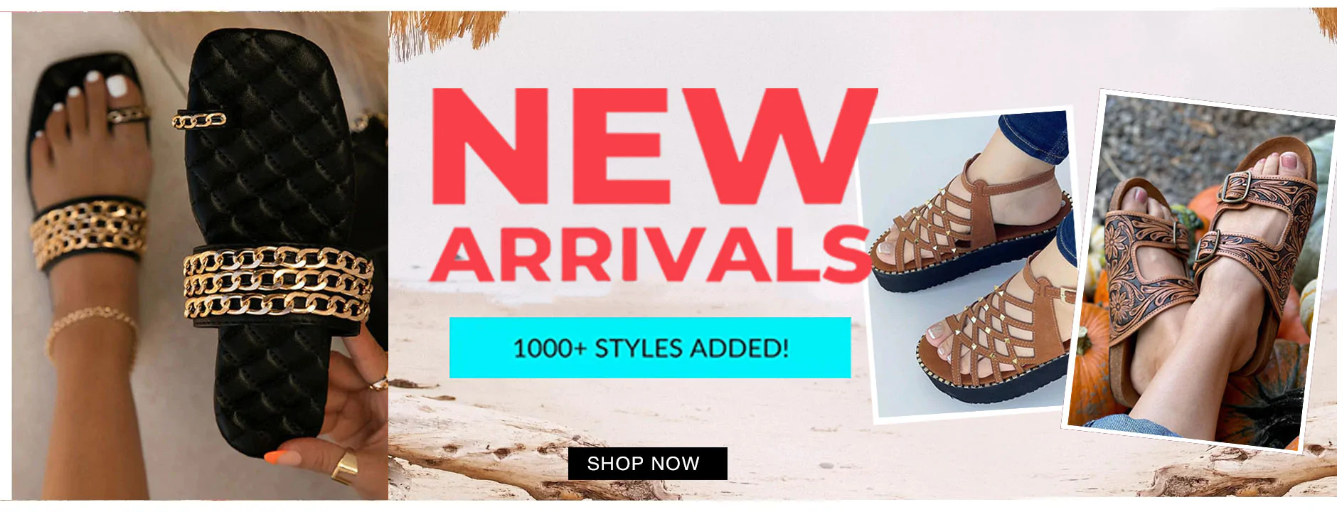 Cheap Mollyshoe Shop -Cheap Mollyshoe Shop Mollyshoe1880 2